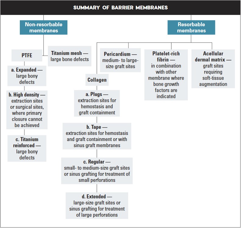 Summary of Barrier Membranes Table