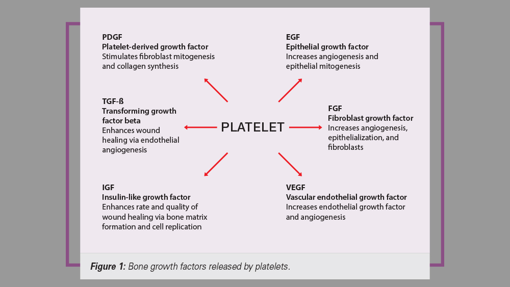 Bone growth factors released by platelets.